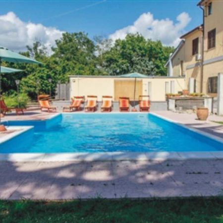 B&B La Magnolia Bassano in Teverina Dış mekan fotoğraf